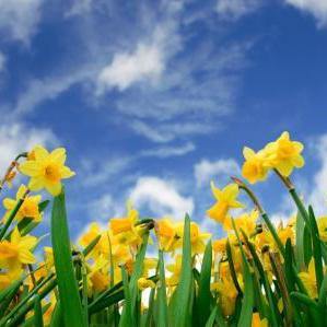 5 Ways to Spring into Action at Insideout - Insideout