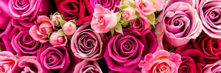 Valentine’s Day in Lockdown - Insideout