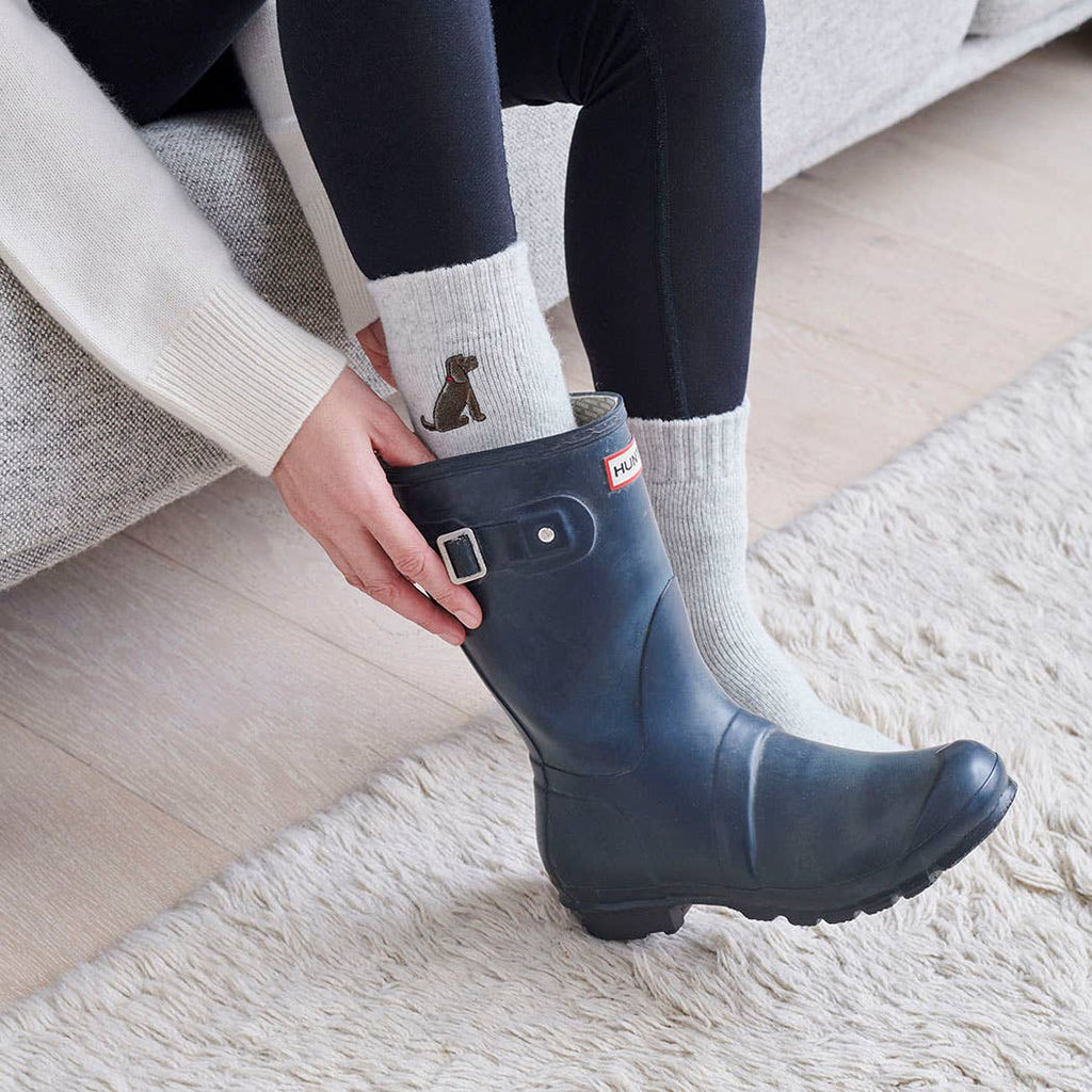 Dog Walking socks -  Cocker Spaniel (Chocolate)