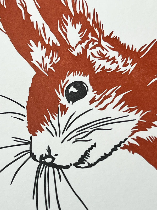 Cheeky Red Squirrel Letterpress Card