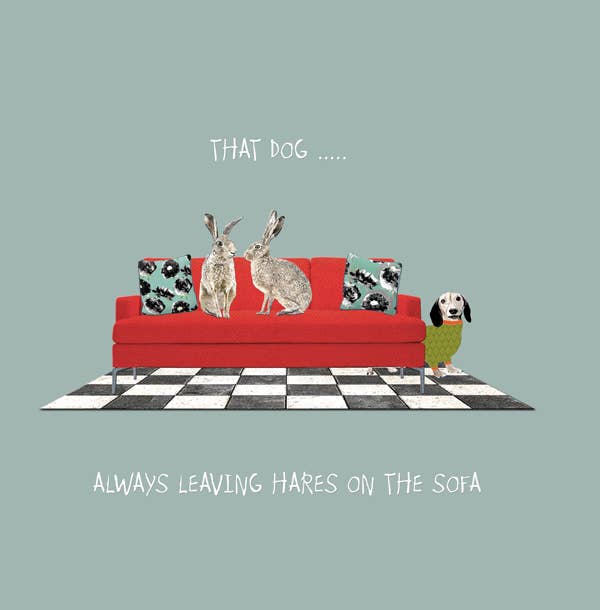 HO004 ... Hares on the sofa Greeting Card