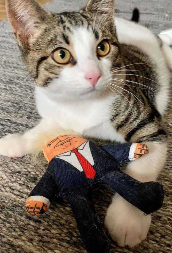 Donald Trump Cat Toy