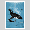 Orca A4-Druck