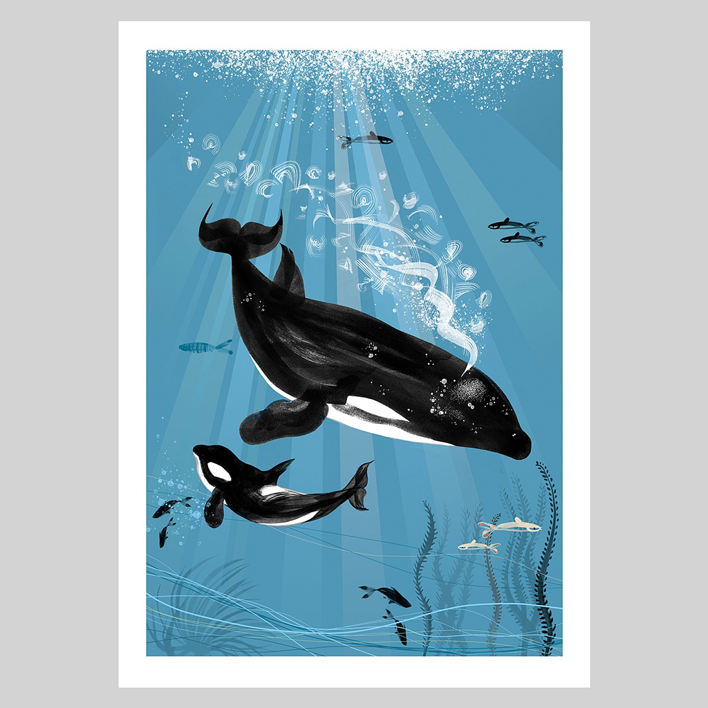 Orca A4 Print