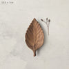 Small Leaf Flat Dish Hornbeam