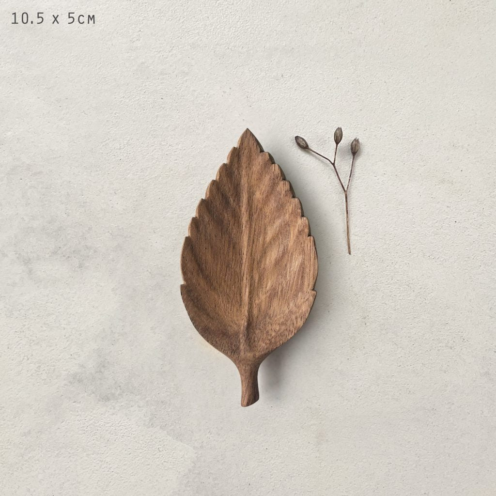 Small Leaf Flat Dish Hornbeam