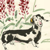 Tosca and the Lupins Dog Card