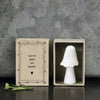 Matchbox Mushroom Love You