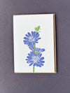 Chicory Letterpress Card