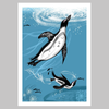 Pinguin A4 Druck
