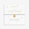 A Little 'Lucky Charm' Bracelet