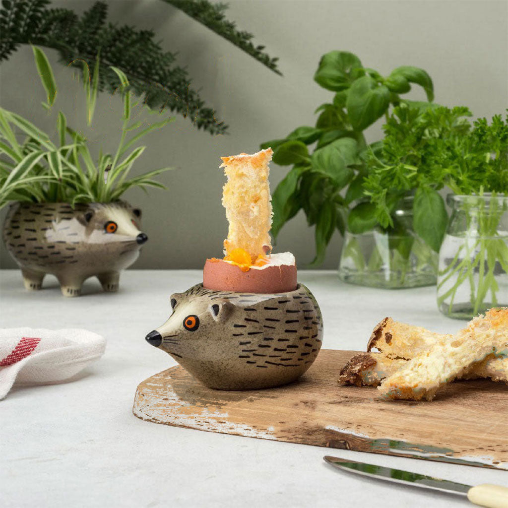 Egg Cup Hedgehog