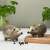 Igel-Salz- und Pfefferstreuer