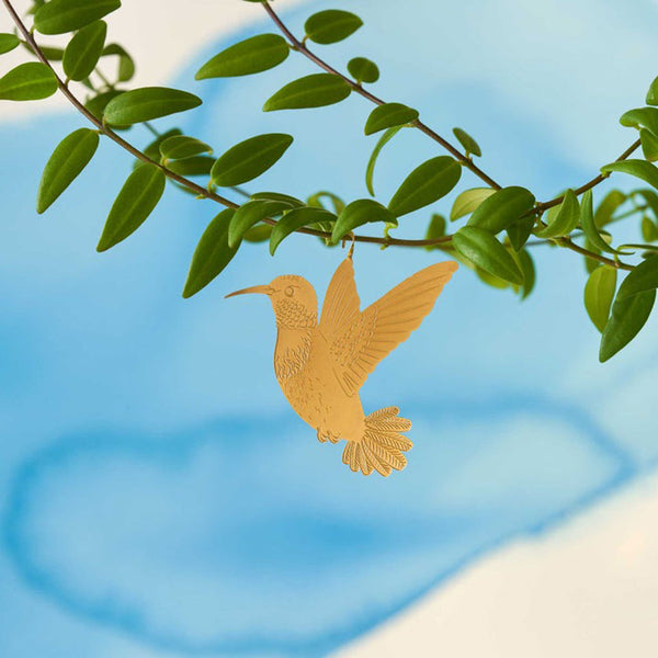 Plant Animal Hummingbird