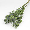 Thistle Bunch