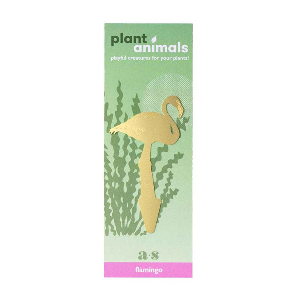 Plante Animal Flamant