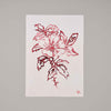 Wild Rose Art Print Unframed