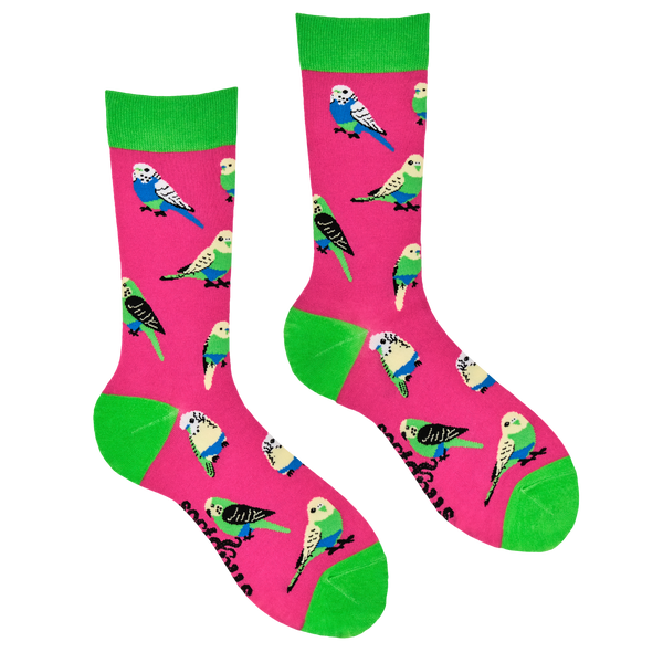 Bird Socks - Budgie Smugglers