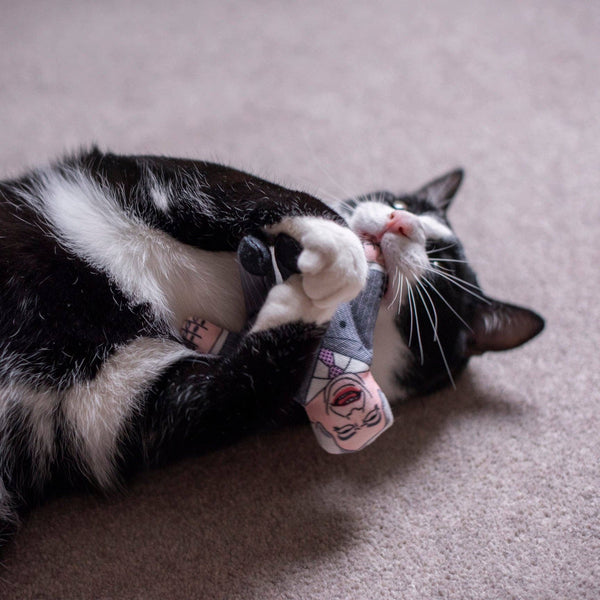 Nigel Farage cat toy