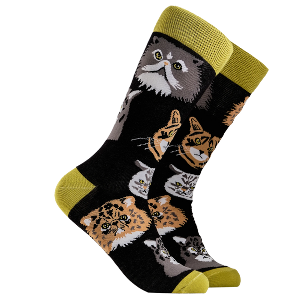 Grumpy Cats Socks