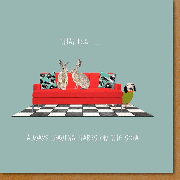 HO004 ... Hares on the sofa Greeting Card