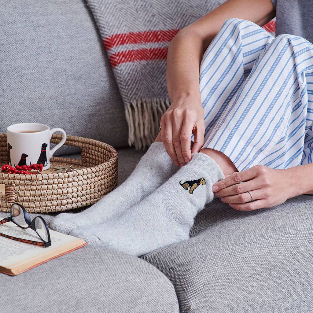 Dog Walking socks -  Airedale / Lakeland / Welsh Terrier