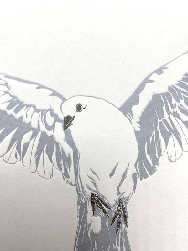 Dove letterpress Card