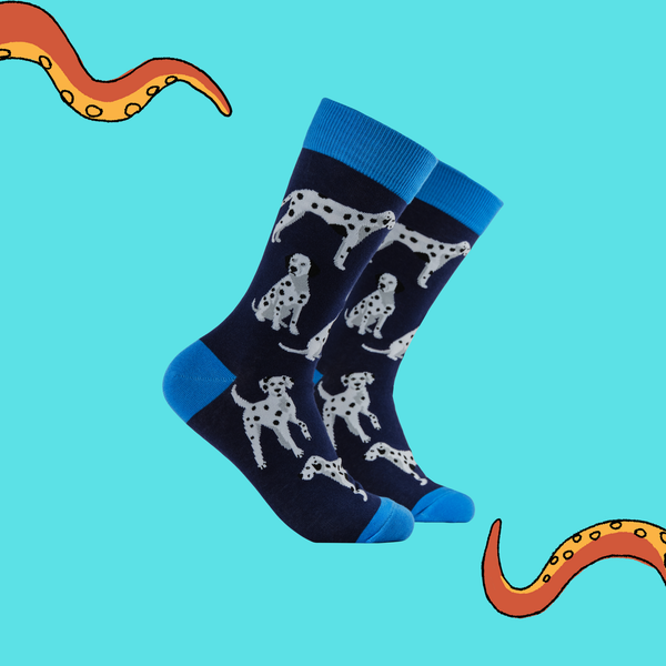 Dalmatian Socks - Spot The Difference