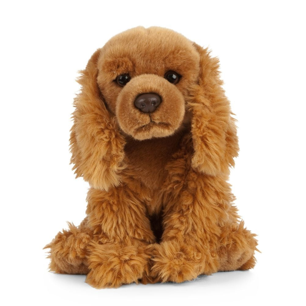 Cocker Spaniel