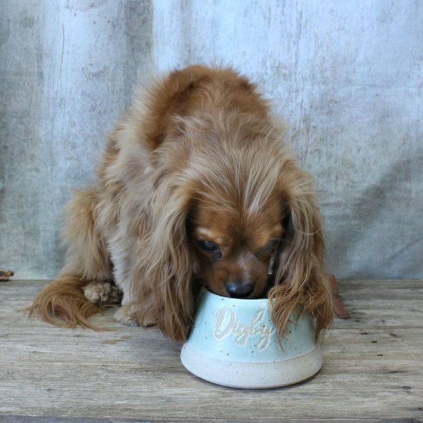 Top Dog Spaniel Water Bowl Small