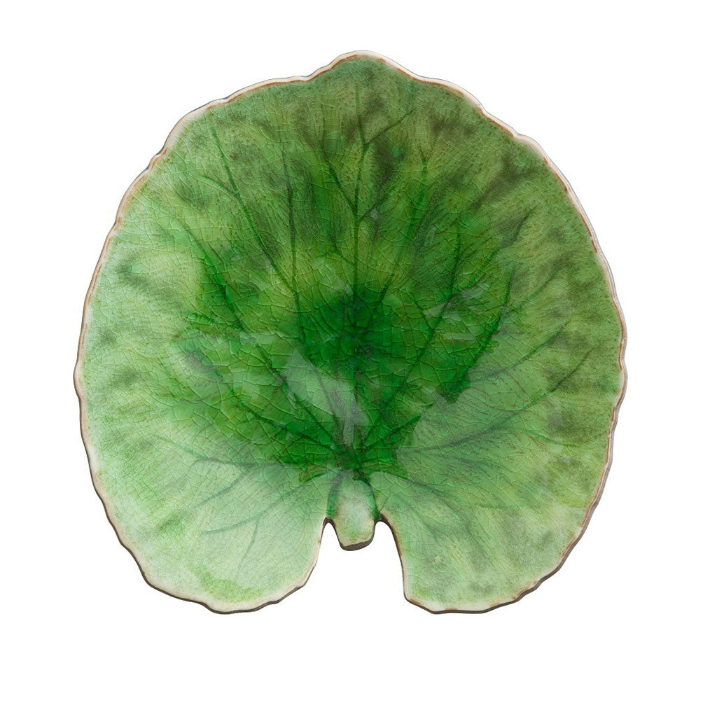 Riviera Tomate Alchemille Leaf