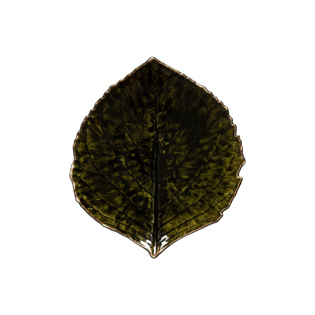 Feuille d'hortensia Riviera Forets