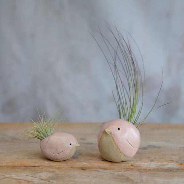 Bird Air Plant Holder in Pale Pink Stone Series By Habulous Ceramics