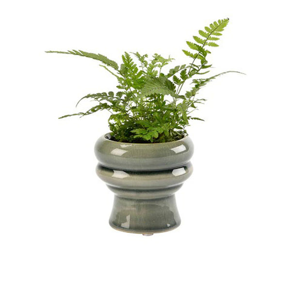 Florence Succulent Pot Green