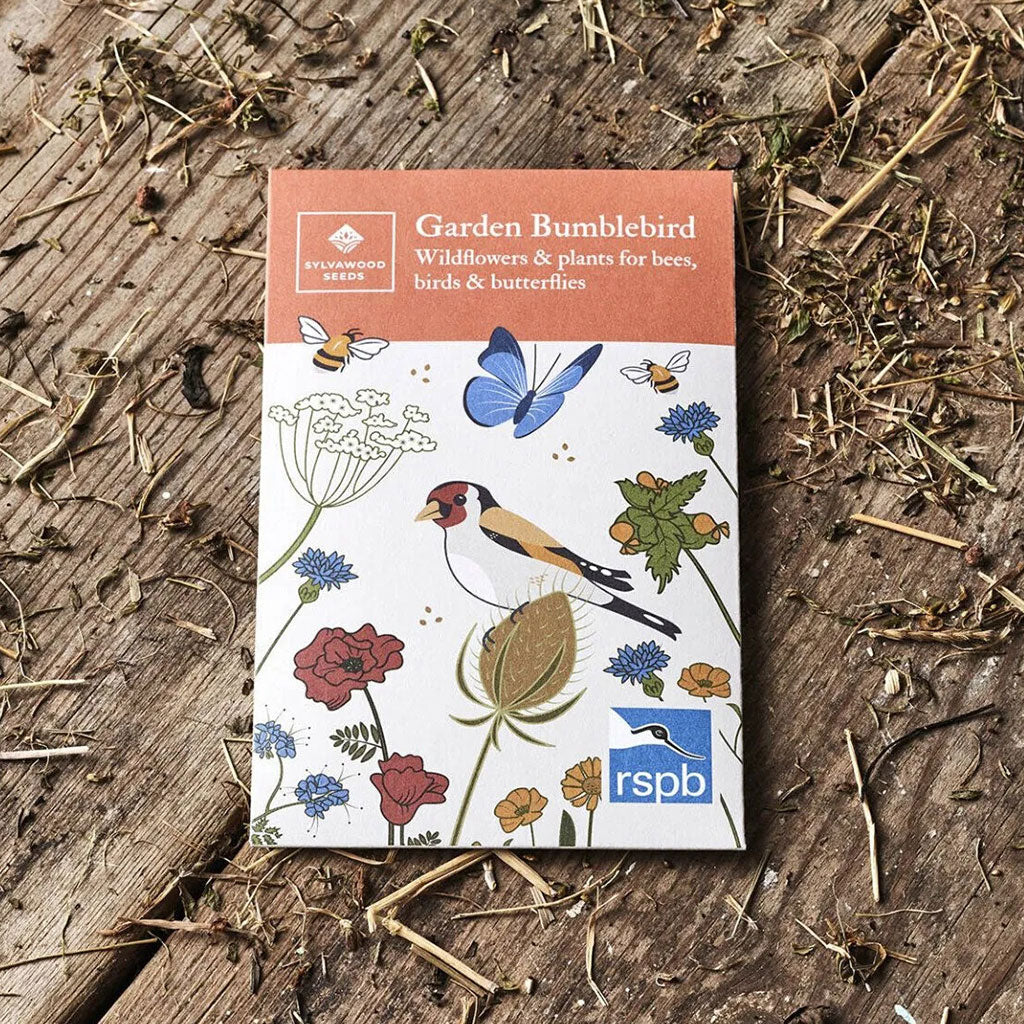 Garden Bumblebird Wildlife & Conservation Seeds