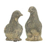 Aged Terracotta Pigeons - Insideout