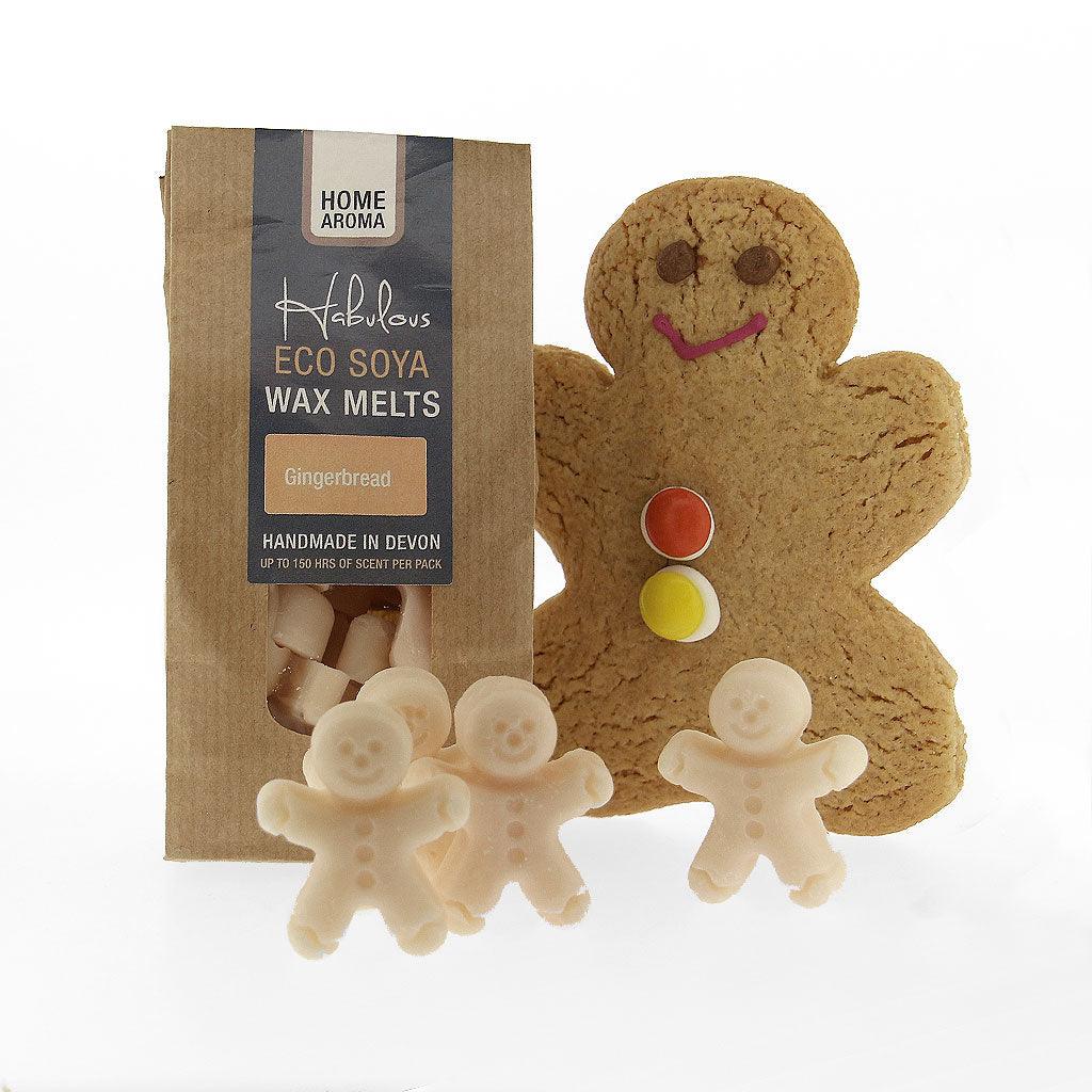 Gingerbread Eco Soya Wax Melts Pack - Insideout