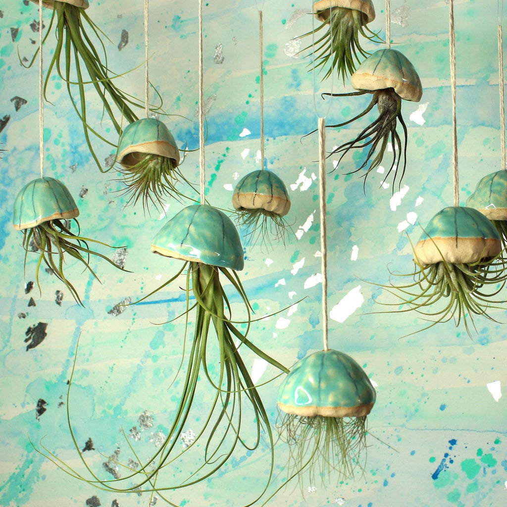 Handmade Ceramic Jellyfish Air Plant - Insideout