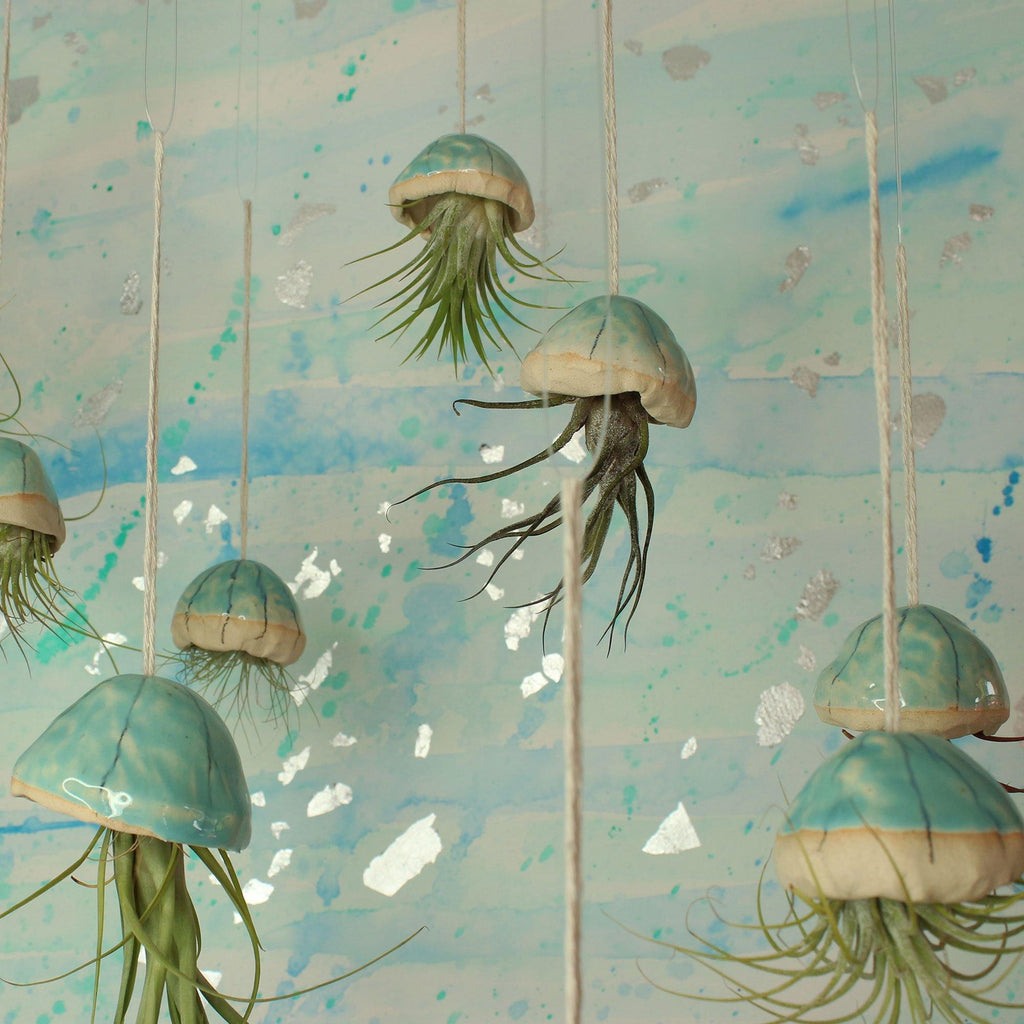 Handmade Ceramic Jellyfish Air Plant By Habulous Ceramics – Insideout