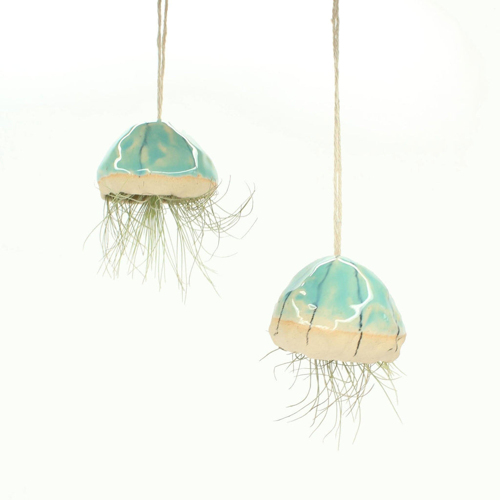 Handmade Ceramic Jellyfish Air Plant - Insideout