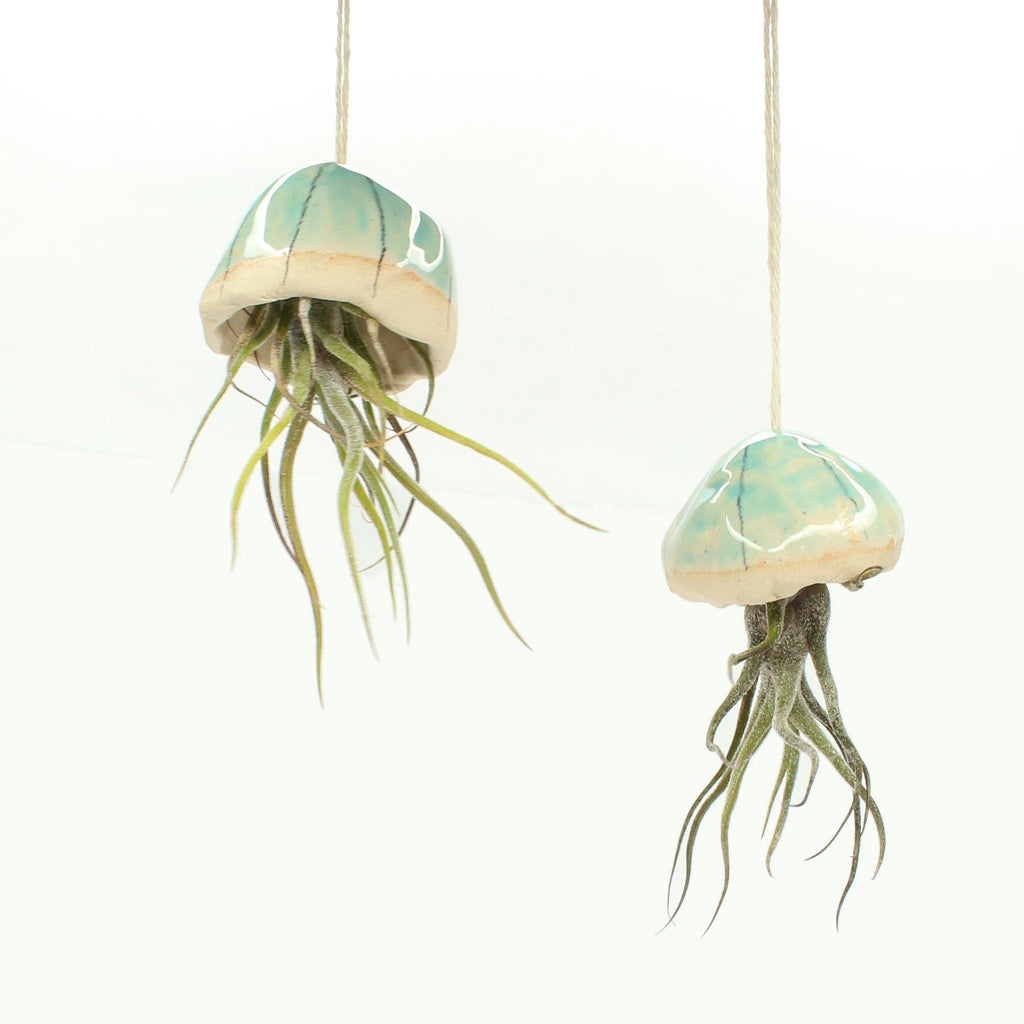 Handmade Ceramic Jellyfish Air Plant - Insideout