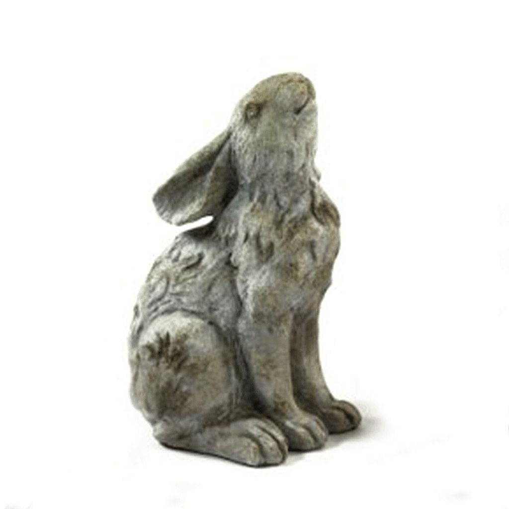 Head Up Sitting Hare - Insideout