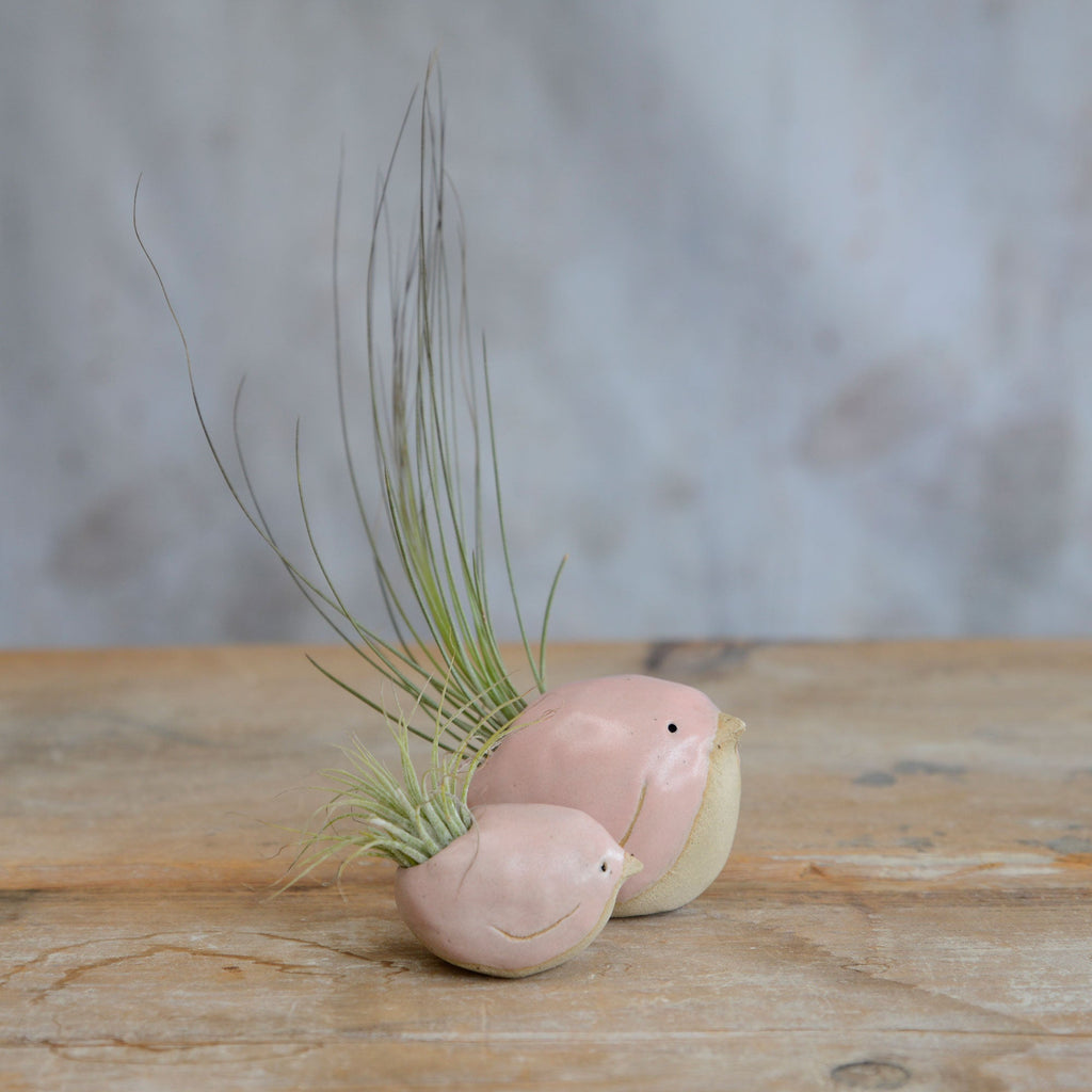 Bird Air Plant Holder in Pale Pink Stone Series By Habulous Ceramics