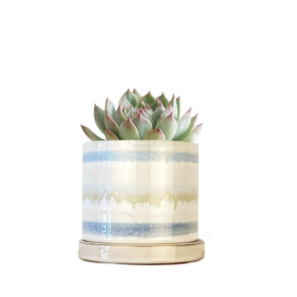 Minute Pot & Saucer Blue Green Layers - Insideout