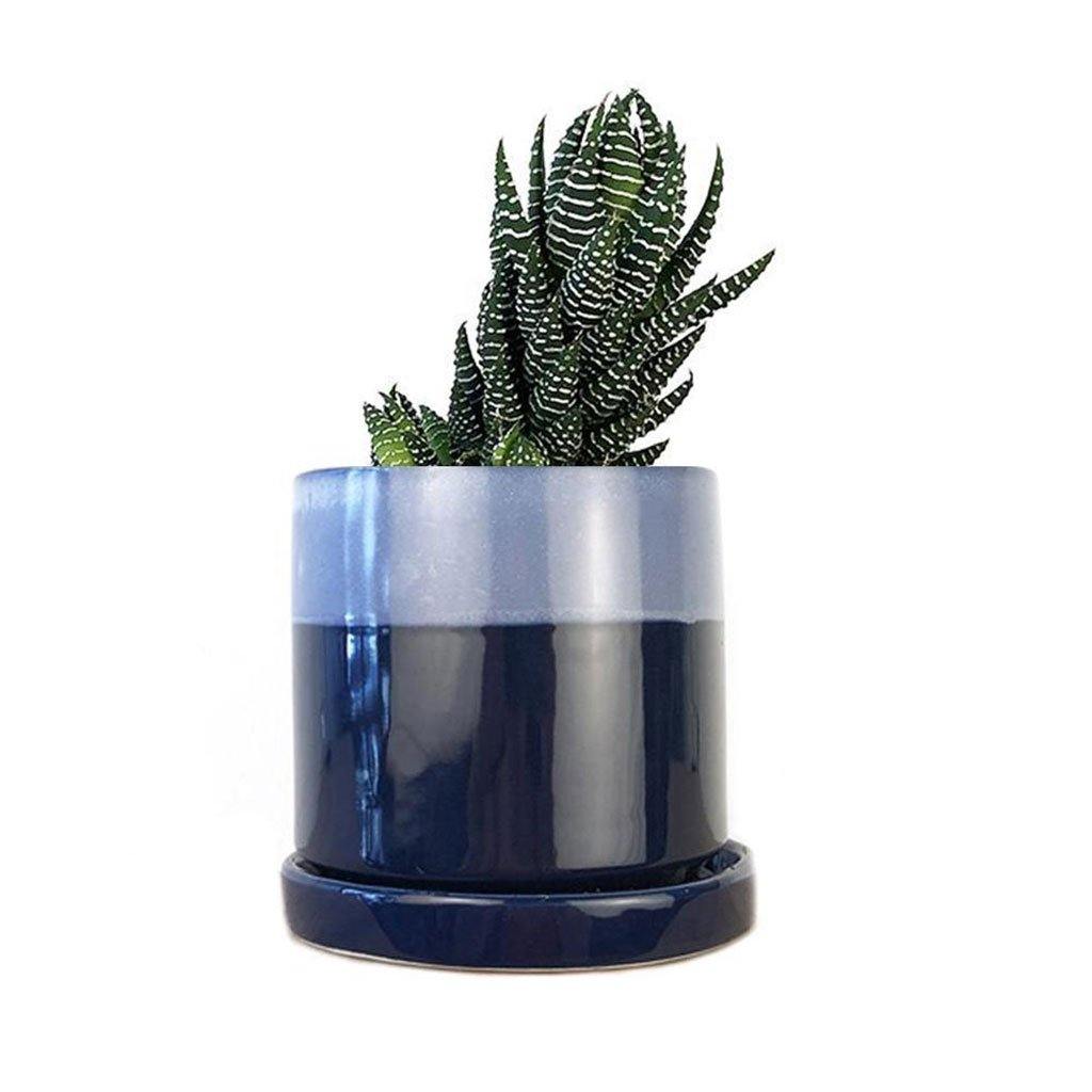Minute Pot & Saucer Cobalt Blue - Insideout