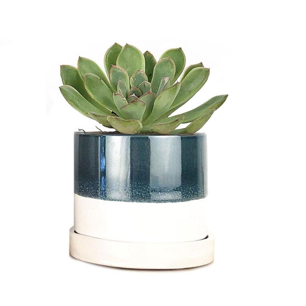 Minute Pot & Saucer Green Blue - Insideout
