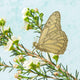 Sticky Image
