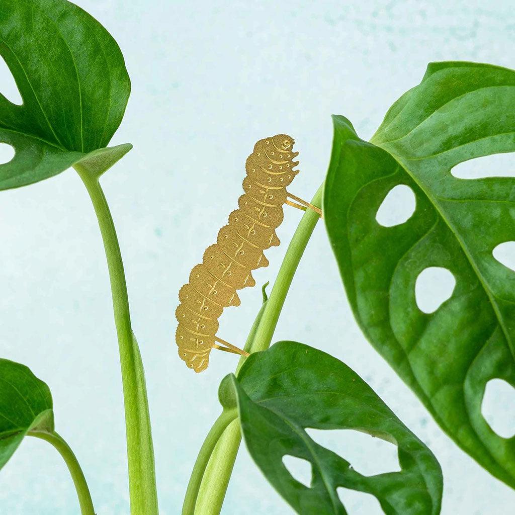 Planet Animal Caterpillar - Insideout