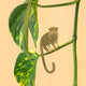 Sticky Image
