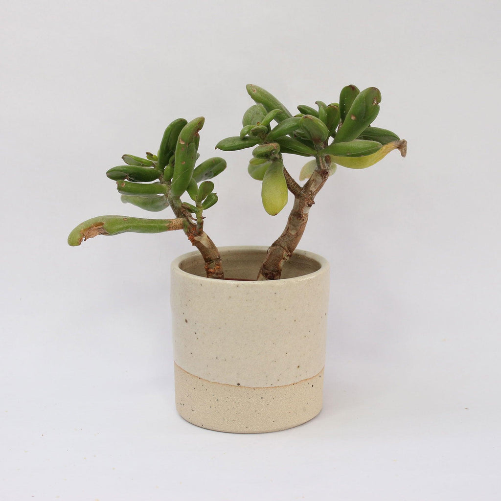Plant Pot Stone Series - Insideout
